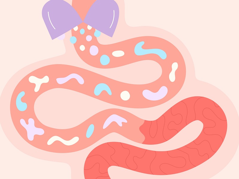 Sorry! Image not available at this time