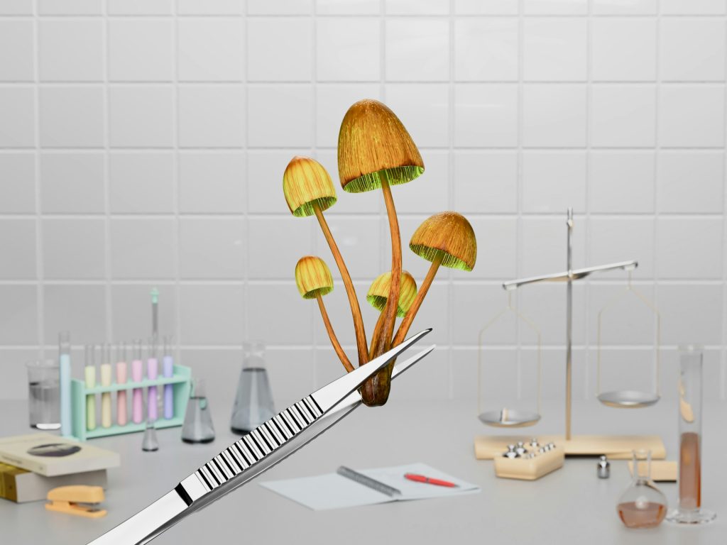 Sorry! Image not available at this time