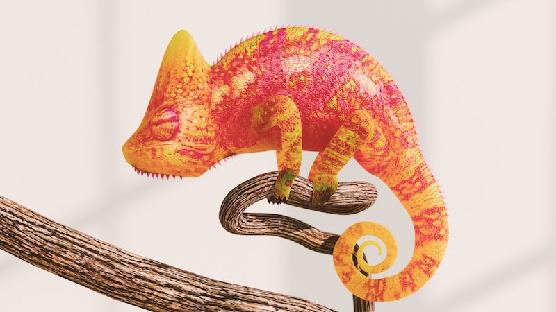 Sorry! Image not available at this time