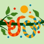 Snake pee may help treat gout pain and kidney stones