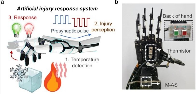 Sorry! Image not available at this time