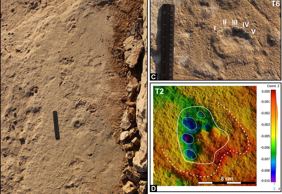 Sorry! Image not available at this time