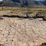 Scientists find over 16,000 dinosaur footprints along an ancient Bolivian Shoreline