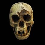 The ‘hobbits’ mysteriously disappeared 50,000 years ago. New study reveals what happened to their home