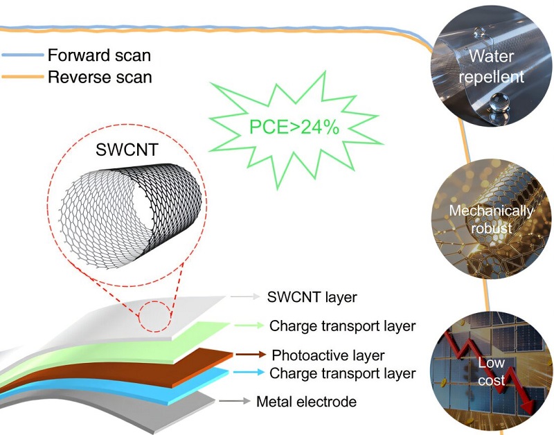 Sorry! Image not available at this time