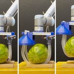 Vine-inspired robot gently lifts people and fragile objects with a soft, twisting grip