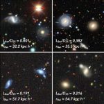 Why the same galaxy can grow or decline—It depends on its neighbor