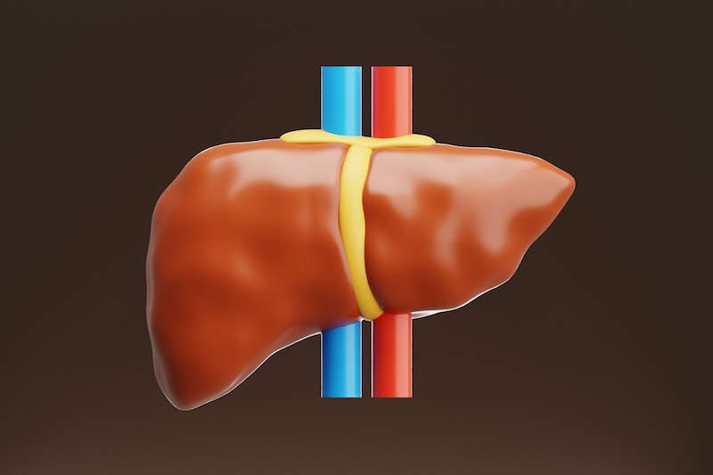 Sorry! Image not available at this time