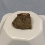 A lost ice age giant speaks again—from inside a wolf’s stomach