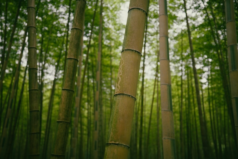 Sorry! Image not available at this time