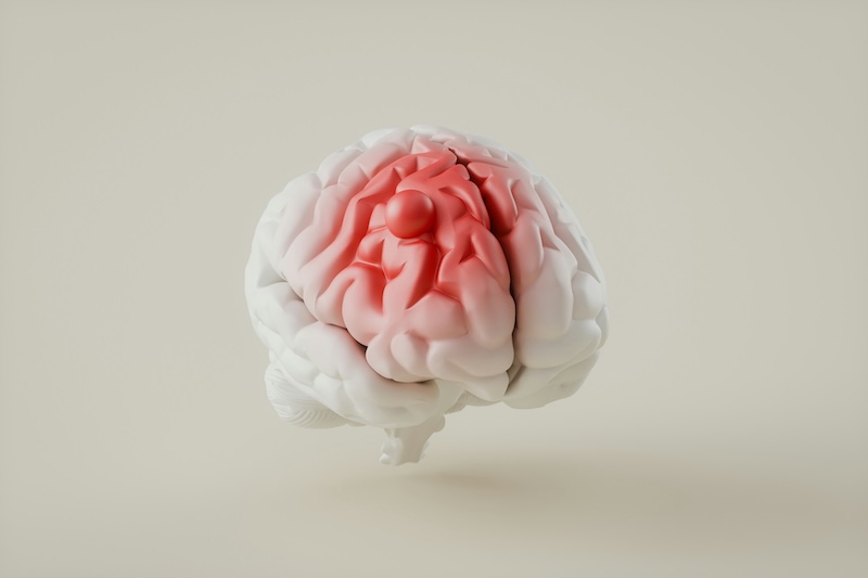 Sorry! Image not available at this time