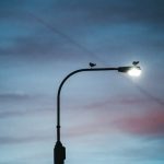 Bright light might help curb hunger and prevent weight gain