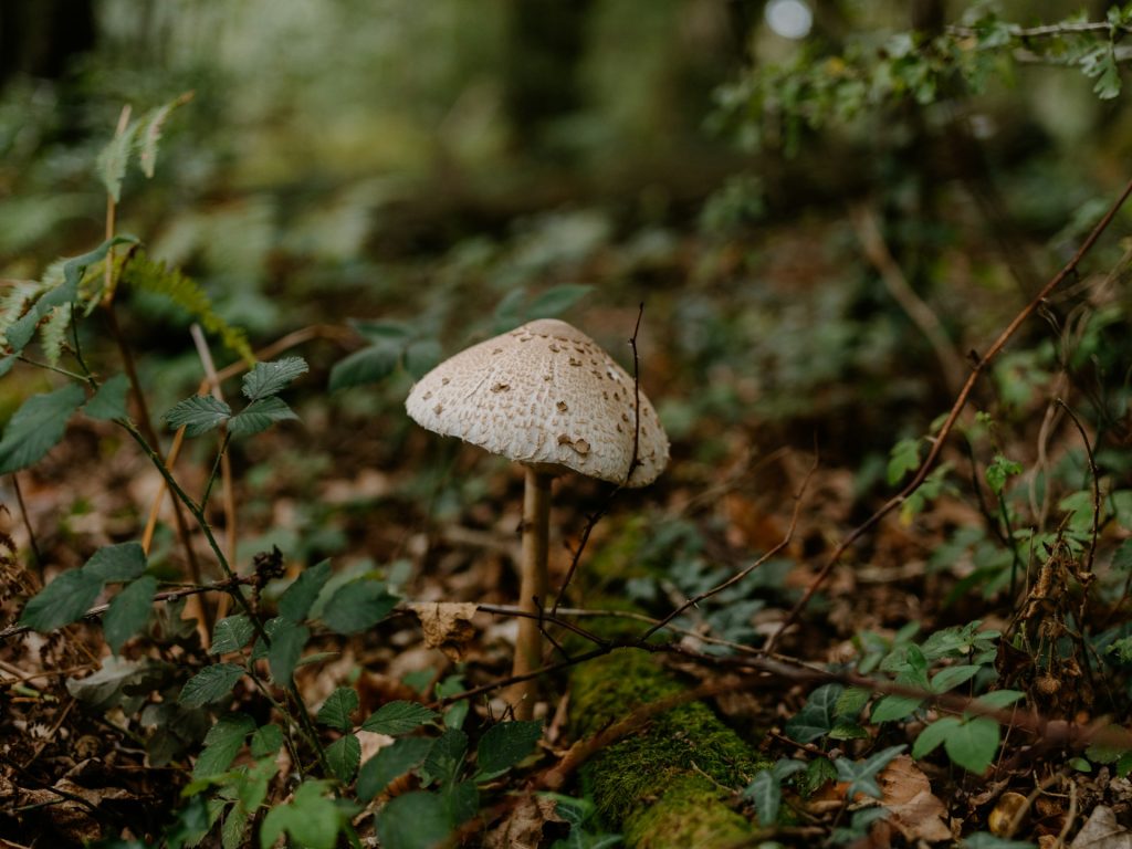 Sorry! Image not available at this time