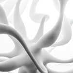 How a theory of the universe helps us understand blood vessels, brains, and trees