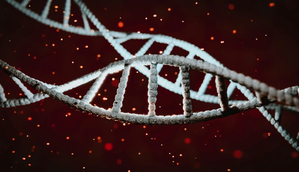 Sorry! Image not available at this time