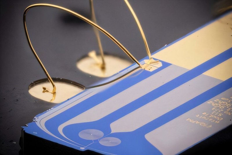 Sorry! Image not available at this time