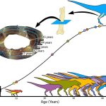 Scientists discover Tyrannosaurus rex grew for 40 years, far longer than we thought