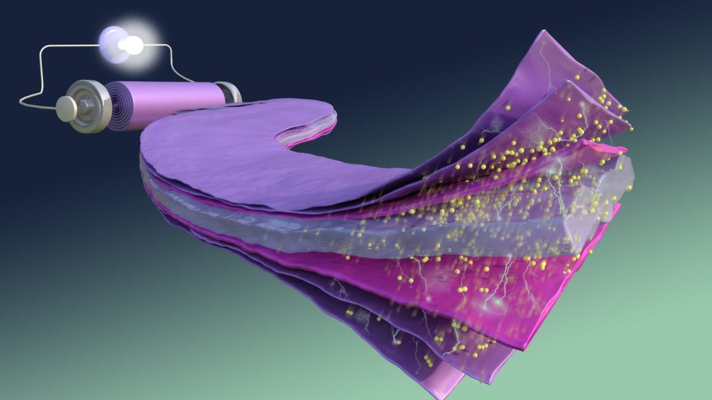 Sorry! Image not available at this time