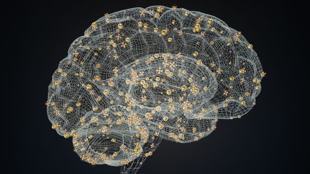 Sorry! Image not available at this time