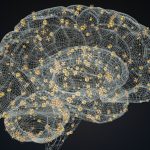 Study finds the key cause of memory loss in Alzheimer’s