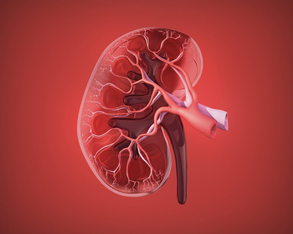 Sorry! Image not available at this time