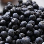Daily blueberries may help prevent memory decline, study finds
