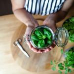 How common herbs and spices may lower inflammation and disease risk