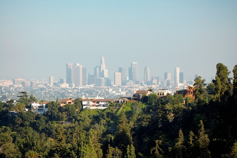 Sorry! Image not available at this time