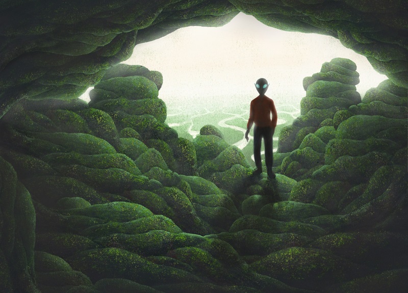 Sorry! Image not available at this time