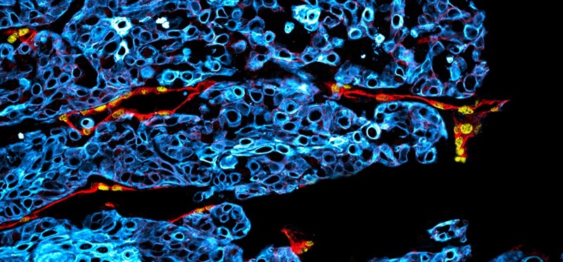 Sorry! Image not available at this time