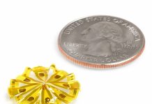 Scientists create 3D mesh that can listen to human brain organoids