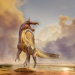 Scientists discover new Spinosaurus species deep in the Sahara