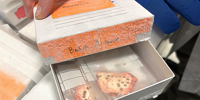 Sorry! Image not available at this time