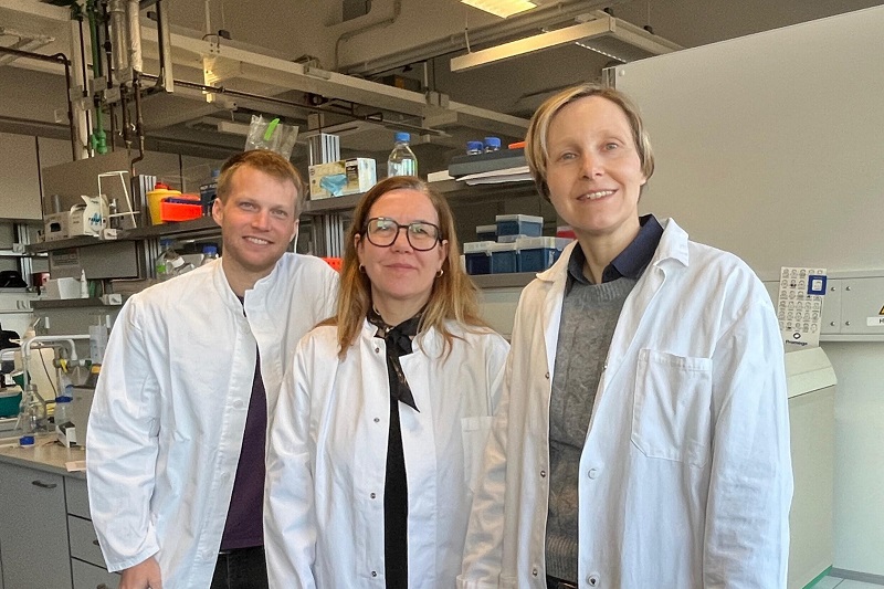 Sorry! Image not available at this time