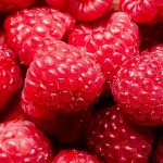 These everyday foods could protect your brain as you age