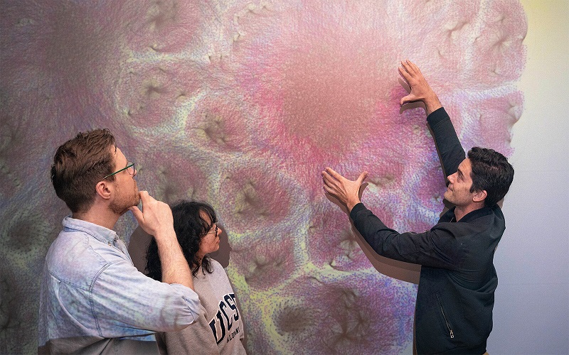 Sorry! Image not available at this time