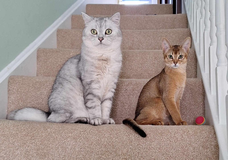 Sorry! Image not available at this time