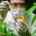 When marijuana causes mysterious vomiting illness