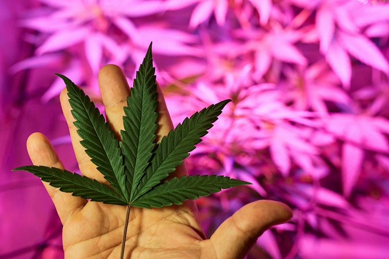 Sorry! Image not available at this time