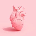 Steroid muscle boost may come with a dangerous heart risk, scientists warn