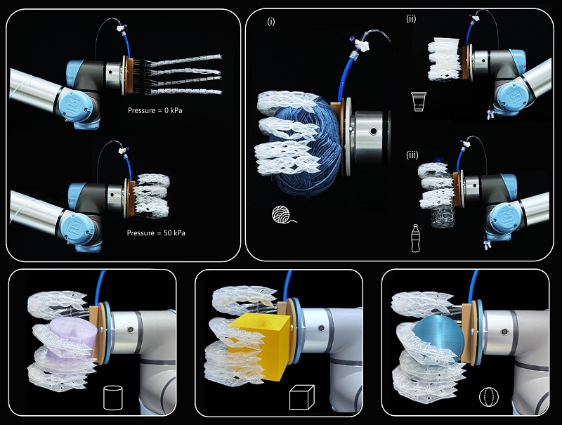 Sorry! Image not available at this time