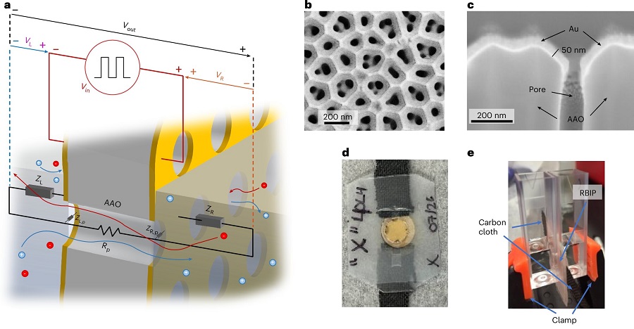 Sorry! Image not available at this time
