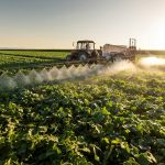 Common weedkiller may help dangerous “superbugs” spread, study warns