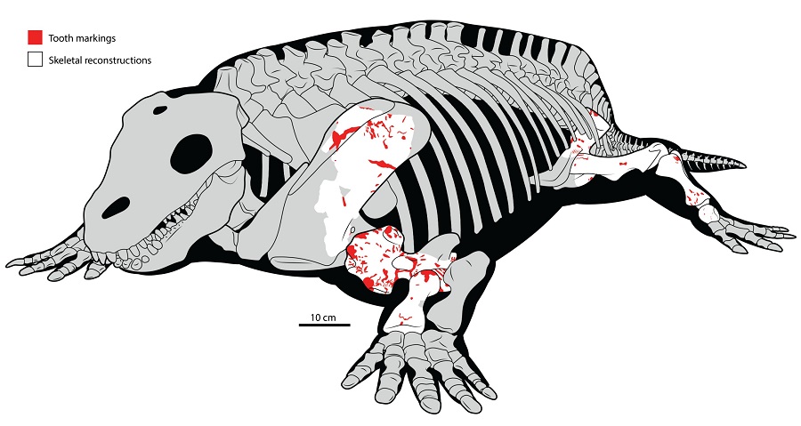 Sorry! Image not available at this time