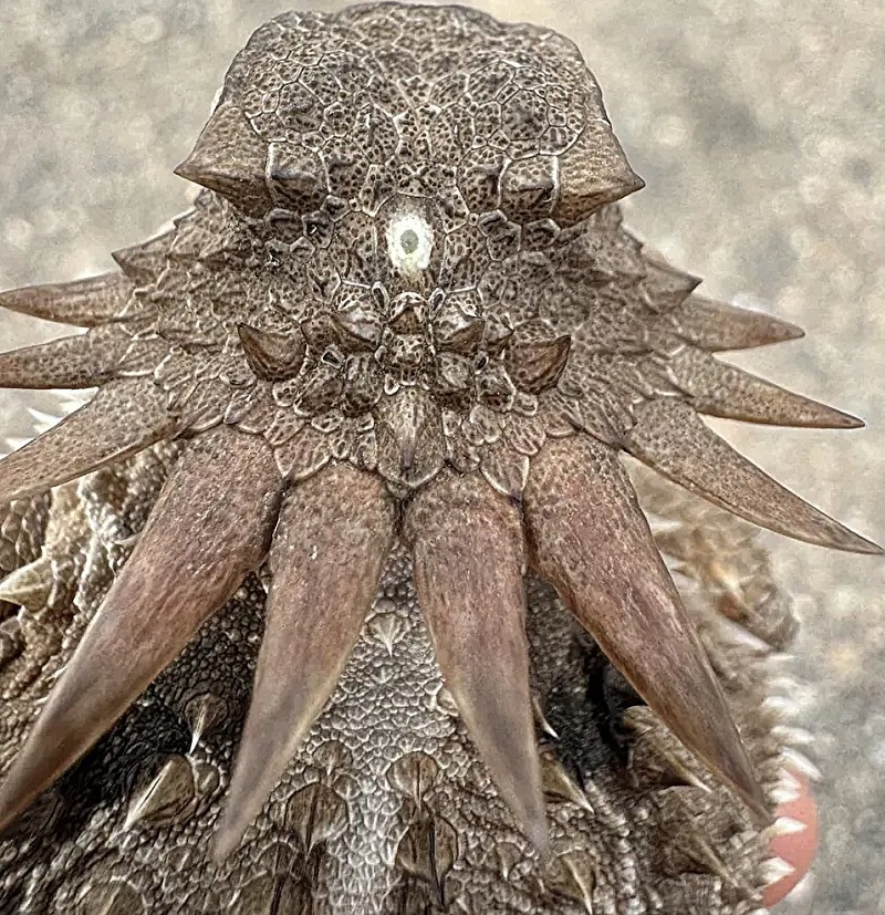 Sorry! Image not available at this time