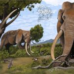 Ice age elephants traveled 300 km before being hunted by Neanderthals