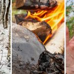 Neanderthals might have treated infections 50,000 years ago