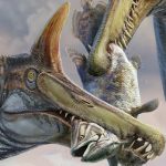 Paleontologists uncover a new Spinosaurus species by following a clue from a decades‑old book into the Sahara Desert