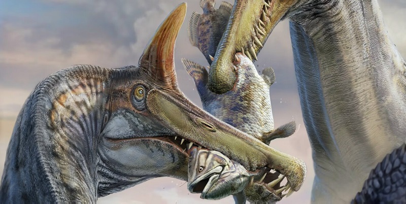 Sorry! Image not available at this time