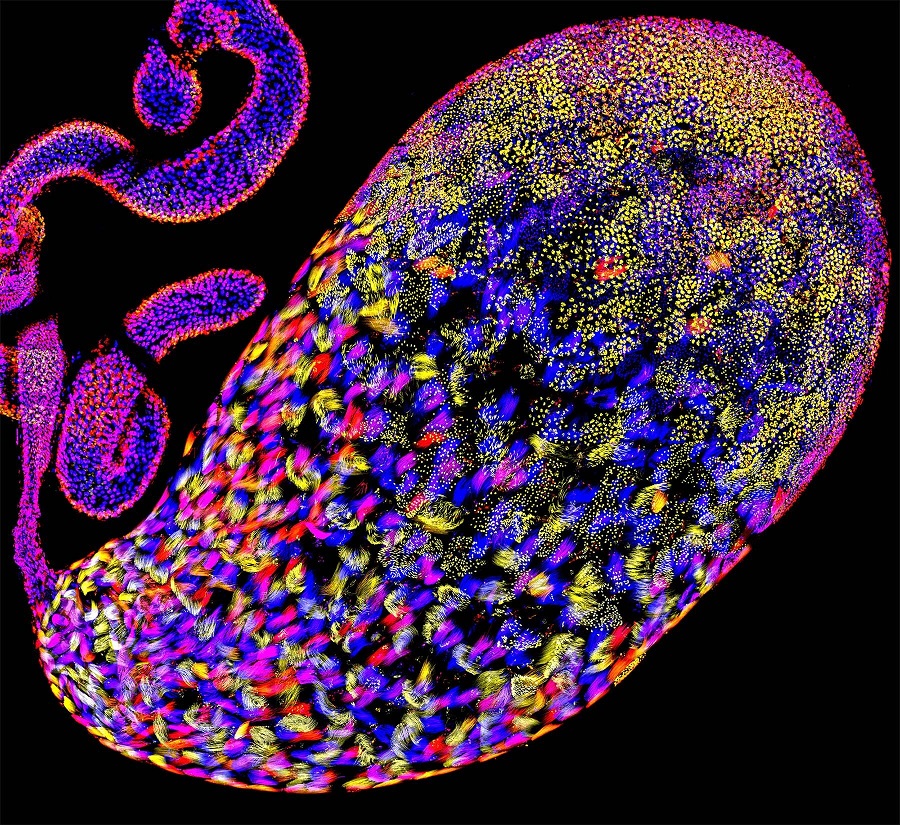 Sorry! Image not available at this time